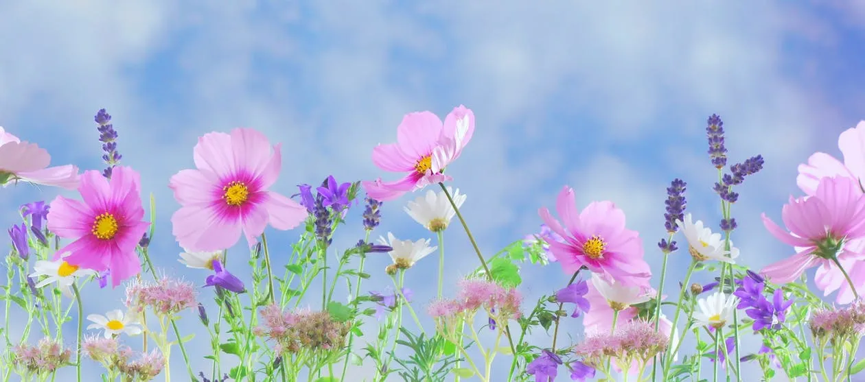 bloemen