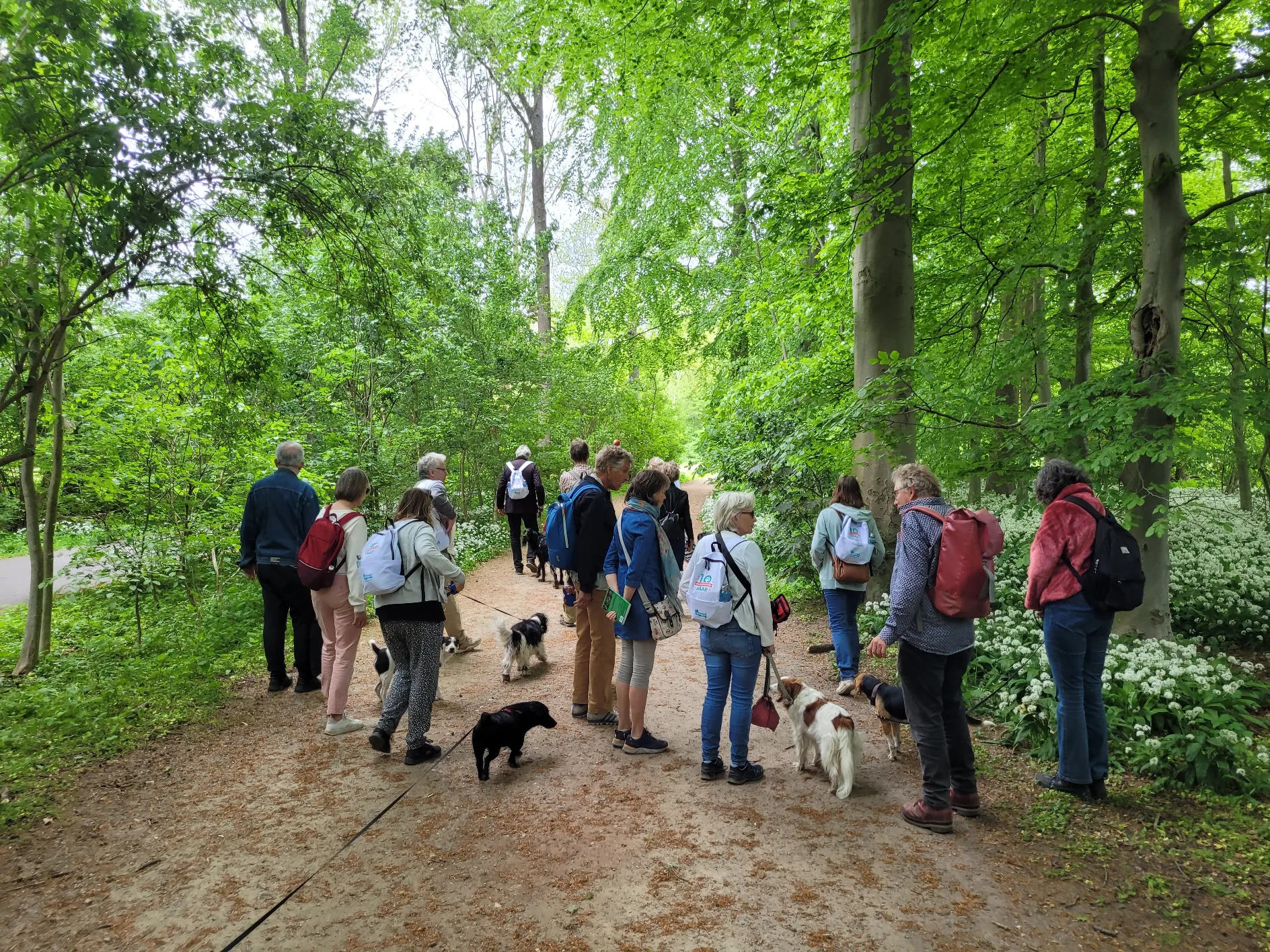 foto persbericht breda4
