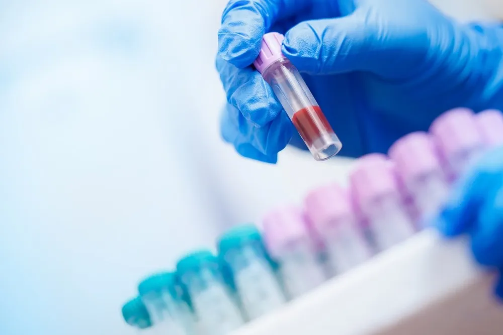 shutterstock_2643142181