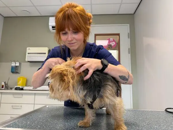 unnamed