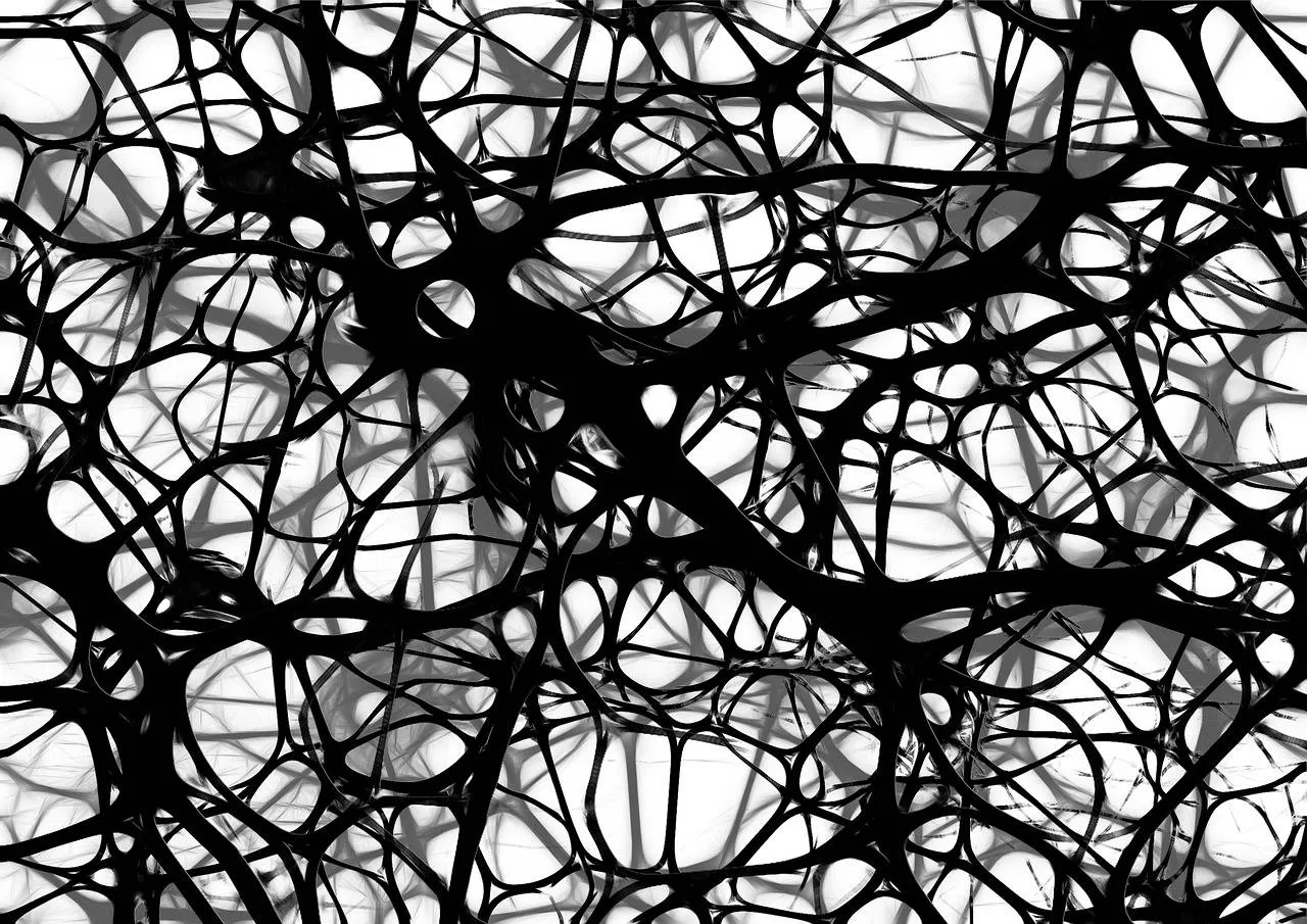 neuronen hersenen gerd altmann via pixabay