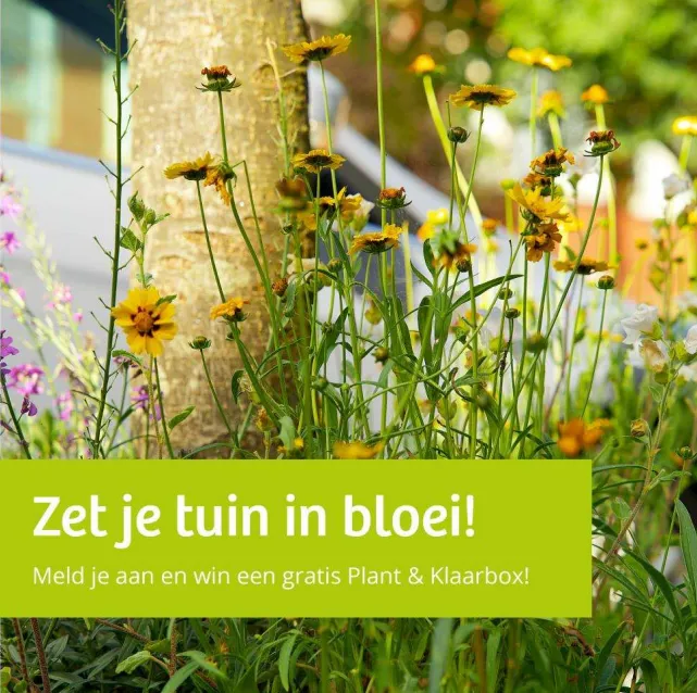 zet je tuin in bloei dorpsbelangen swifterbant