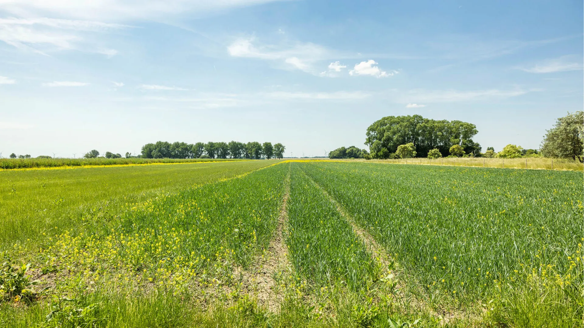 luchtmeetnet prov flevoland