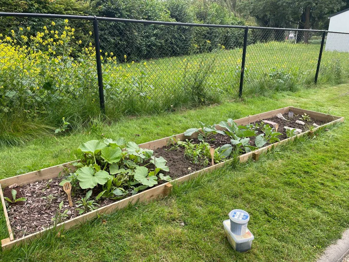 moestuinbakken samen voor de buurt