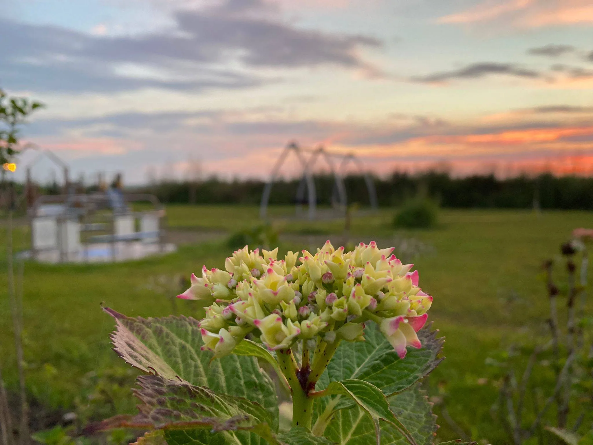 Beleeftuin Drakensteyn (© Beleeftuin Drakensteyn)
