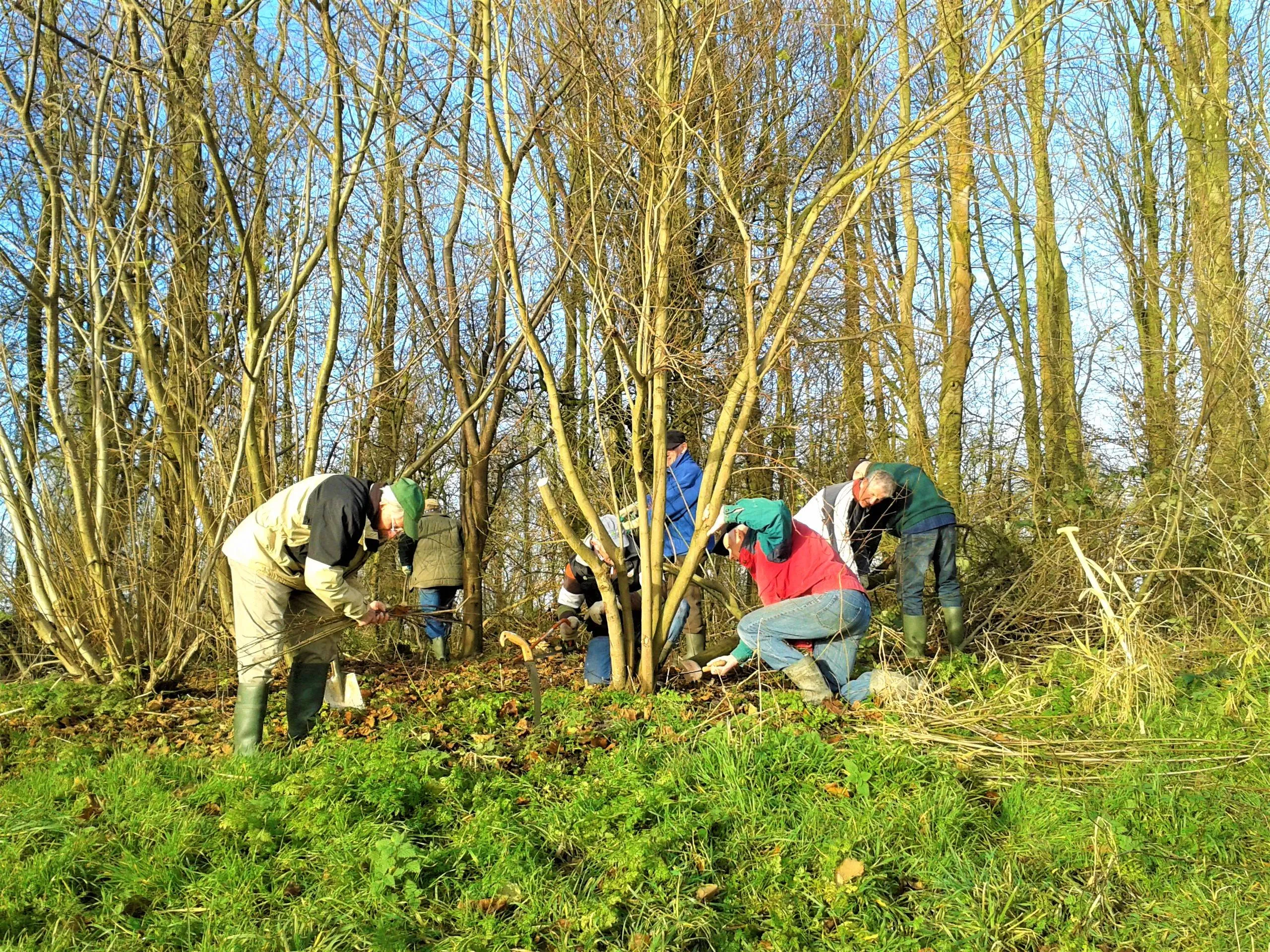Natuureiland en Dorpsbos Biddinghuizen (© Landschapsbeheer Flevoland)