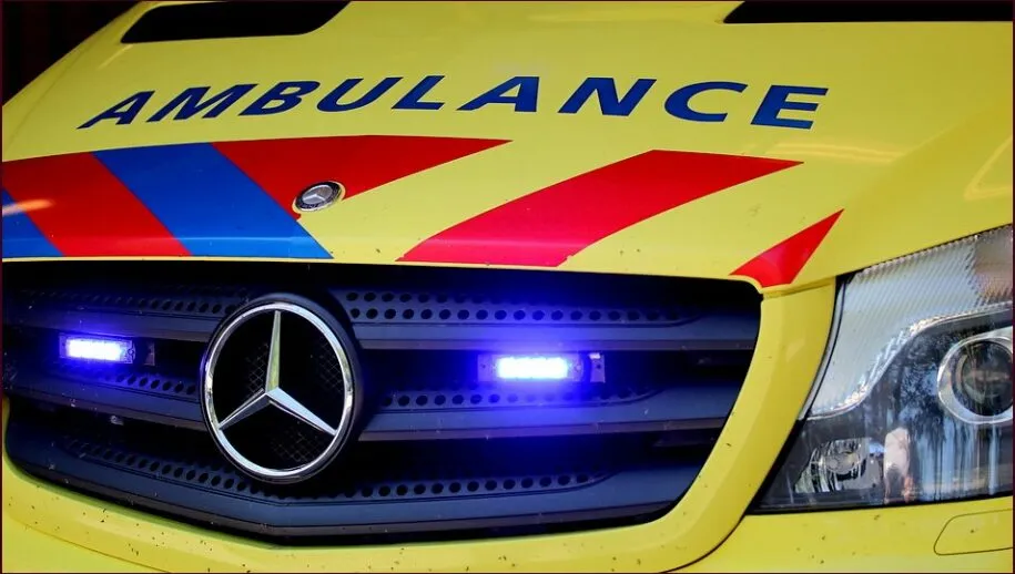 087 img 4034 915x518 1