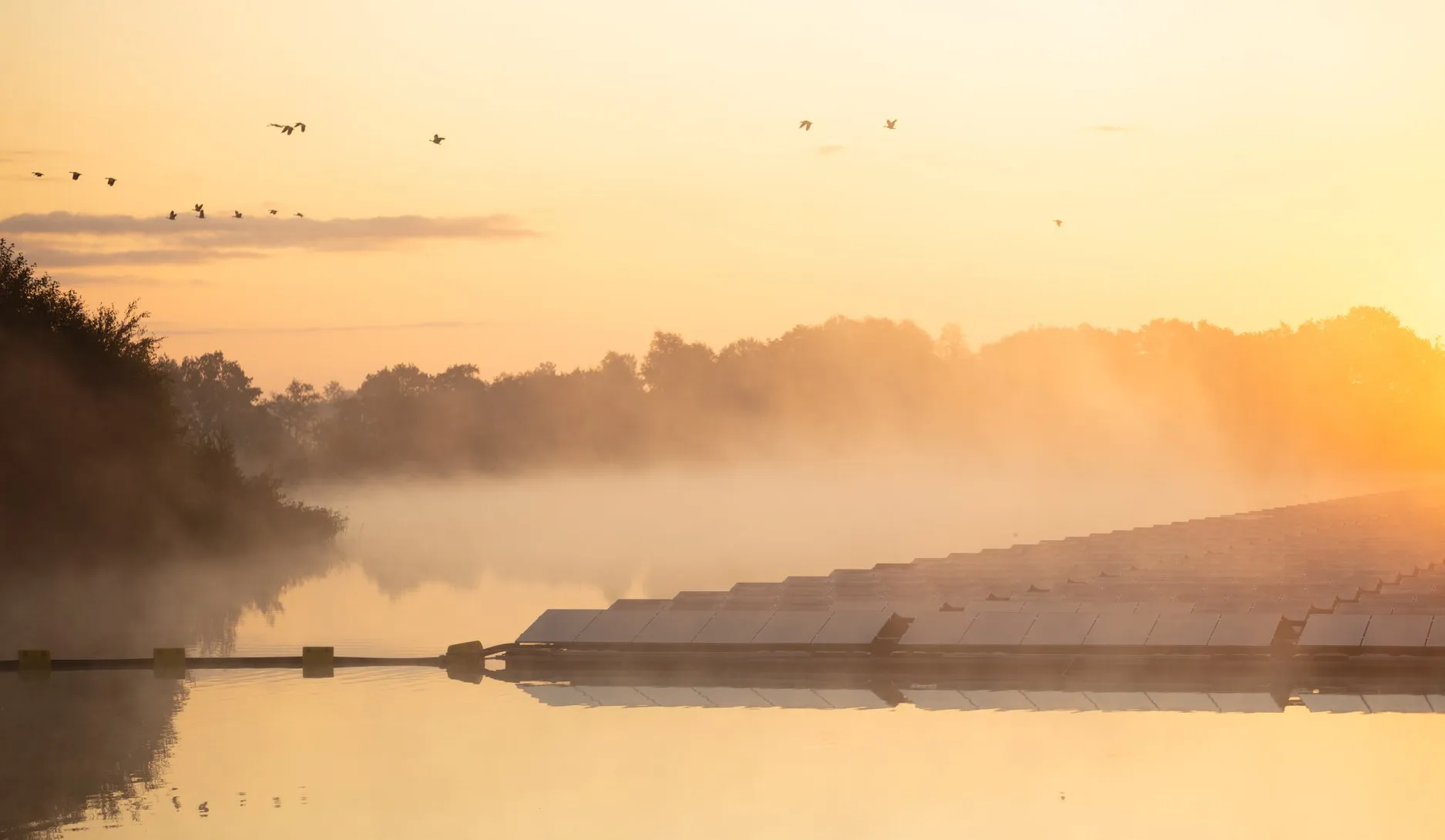 116938322 3249784181745925 3832702165963383612 o