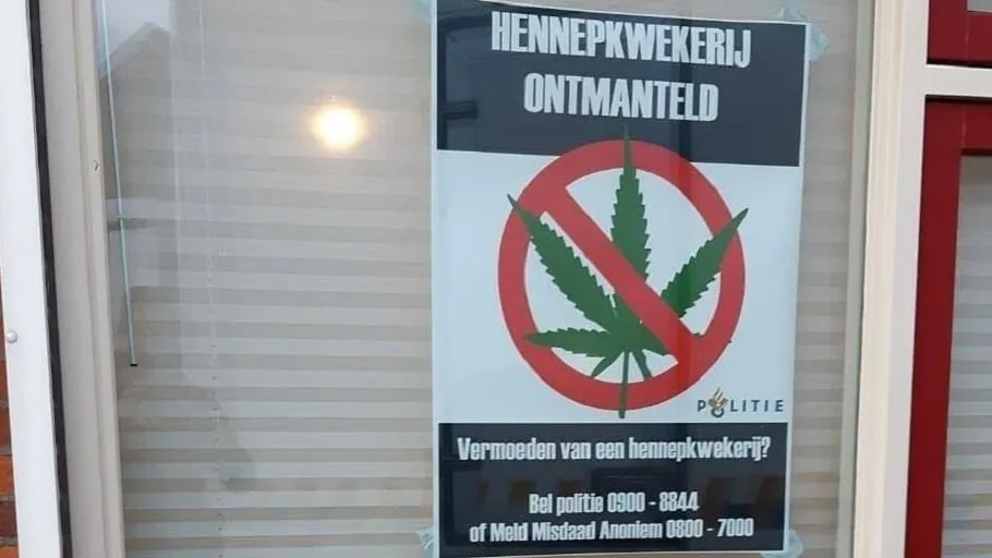 128653857 3771926786171710 6343846915327001818 n e1606844999359