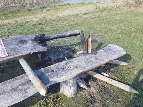 14462954 1313907681961043 658637783685570683 n