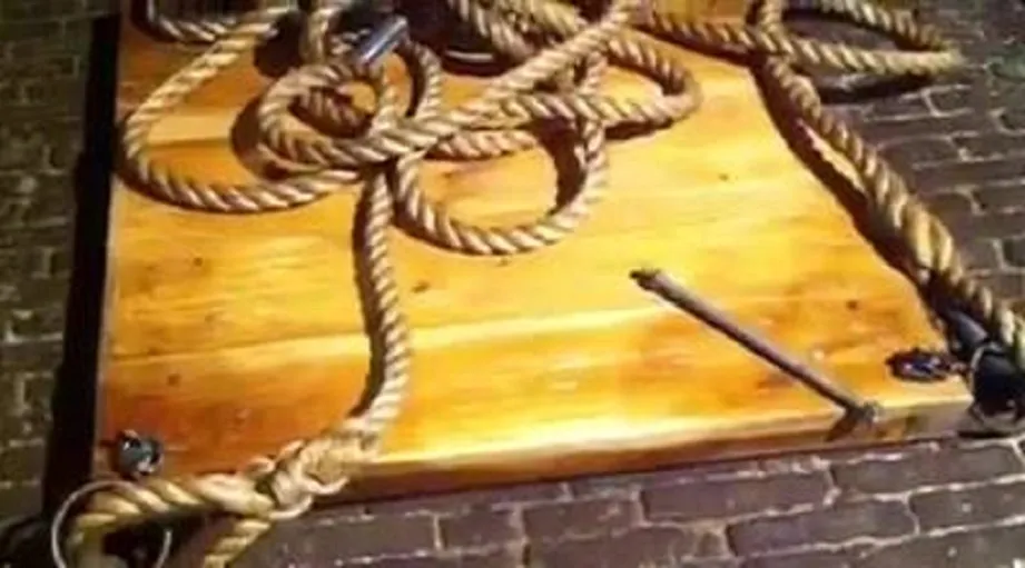 15132333 10154199268648230 2064130788189798400 n