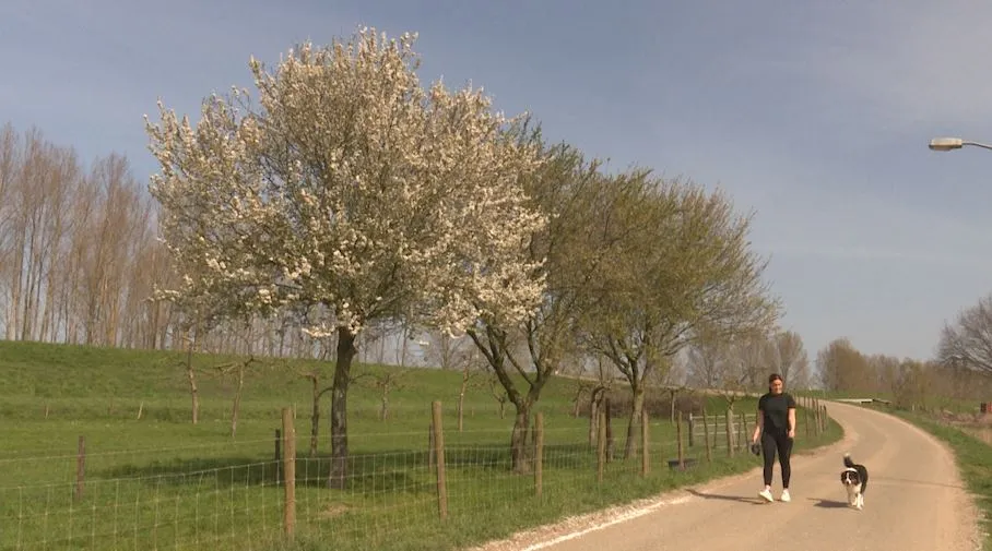 176794060 324376509306679 6974390512264977001 n