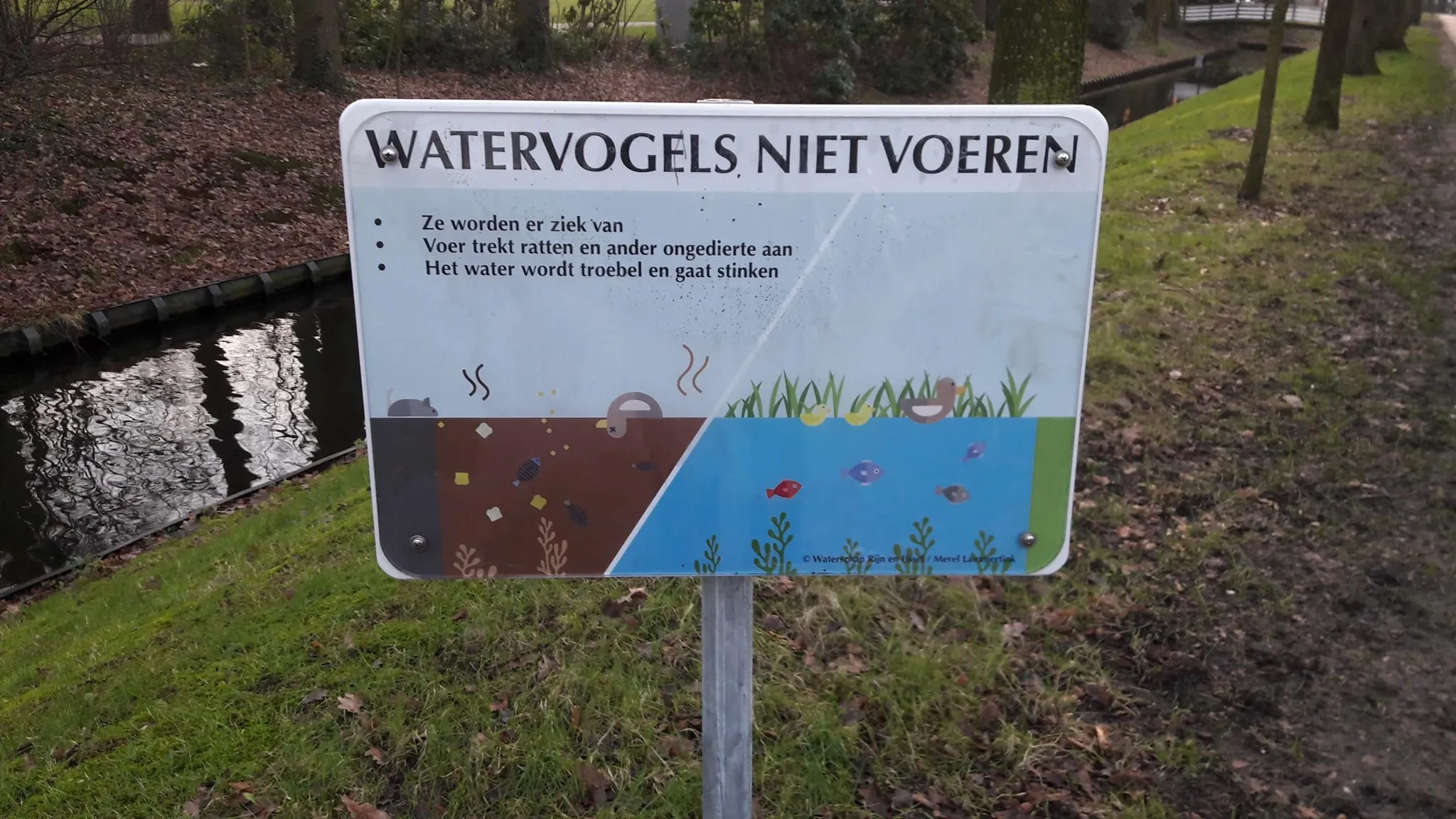 182076983 4050114295046239 8487660581749681373 n