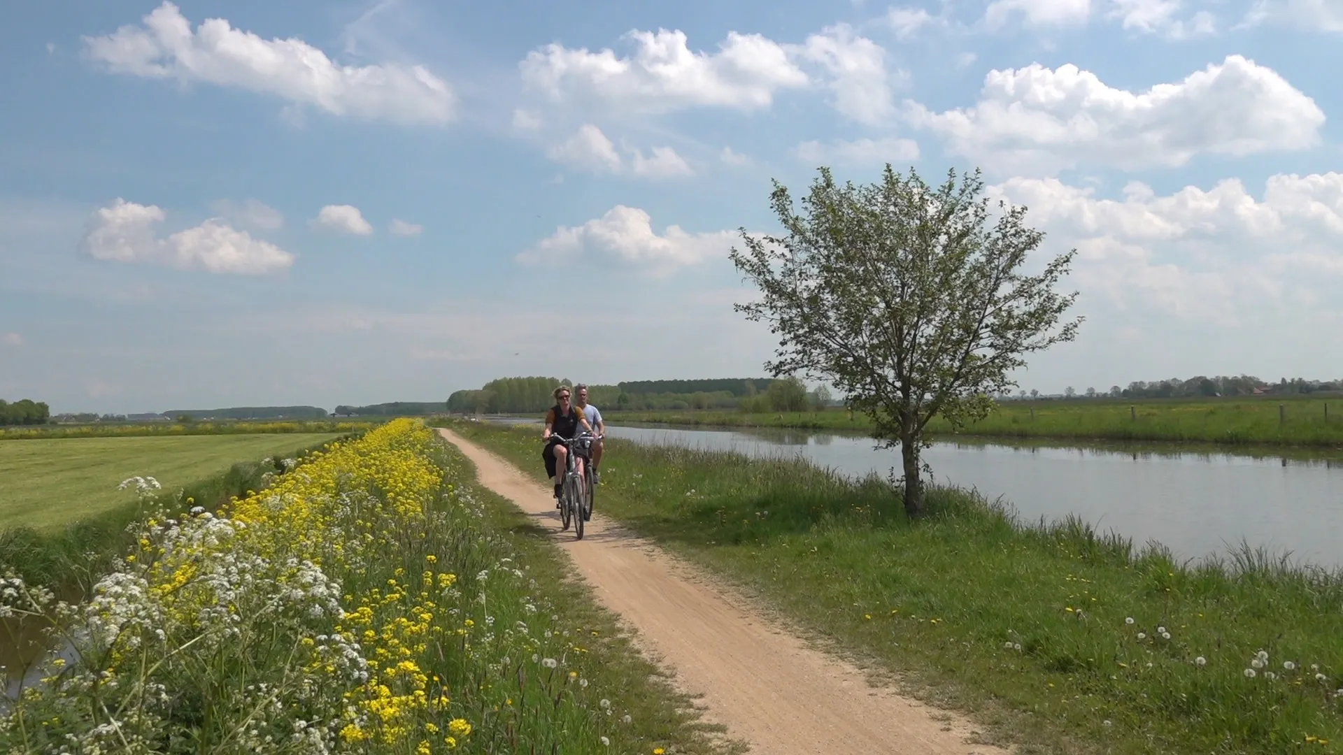 201511980 358472272563769 328183051457502805 n