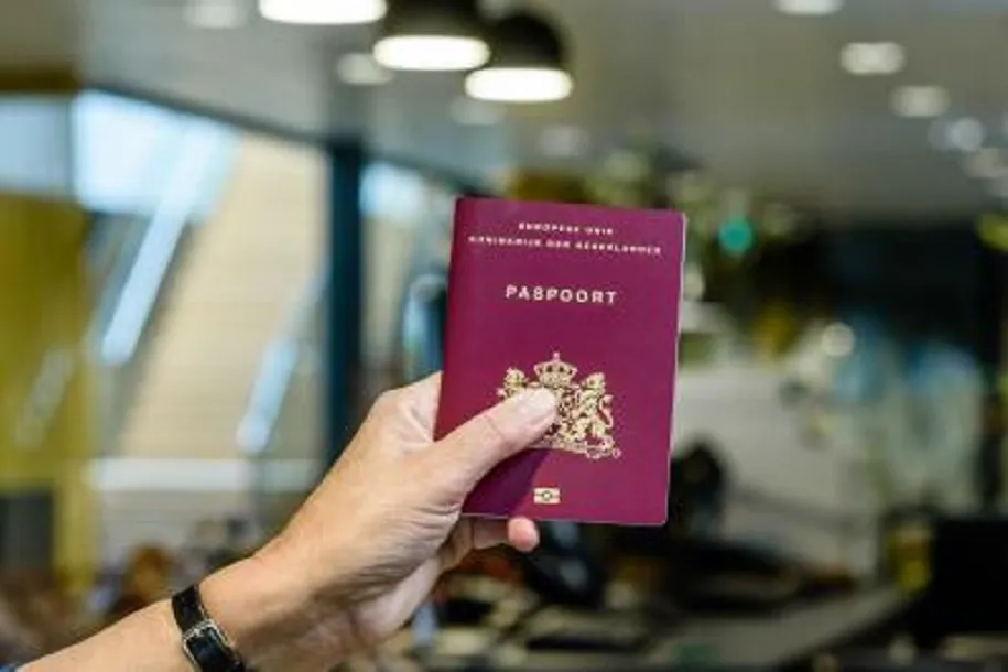 229636587 192265229625216 1638014826905029450 n