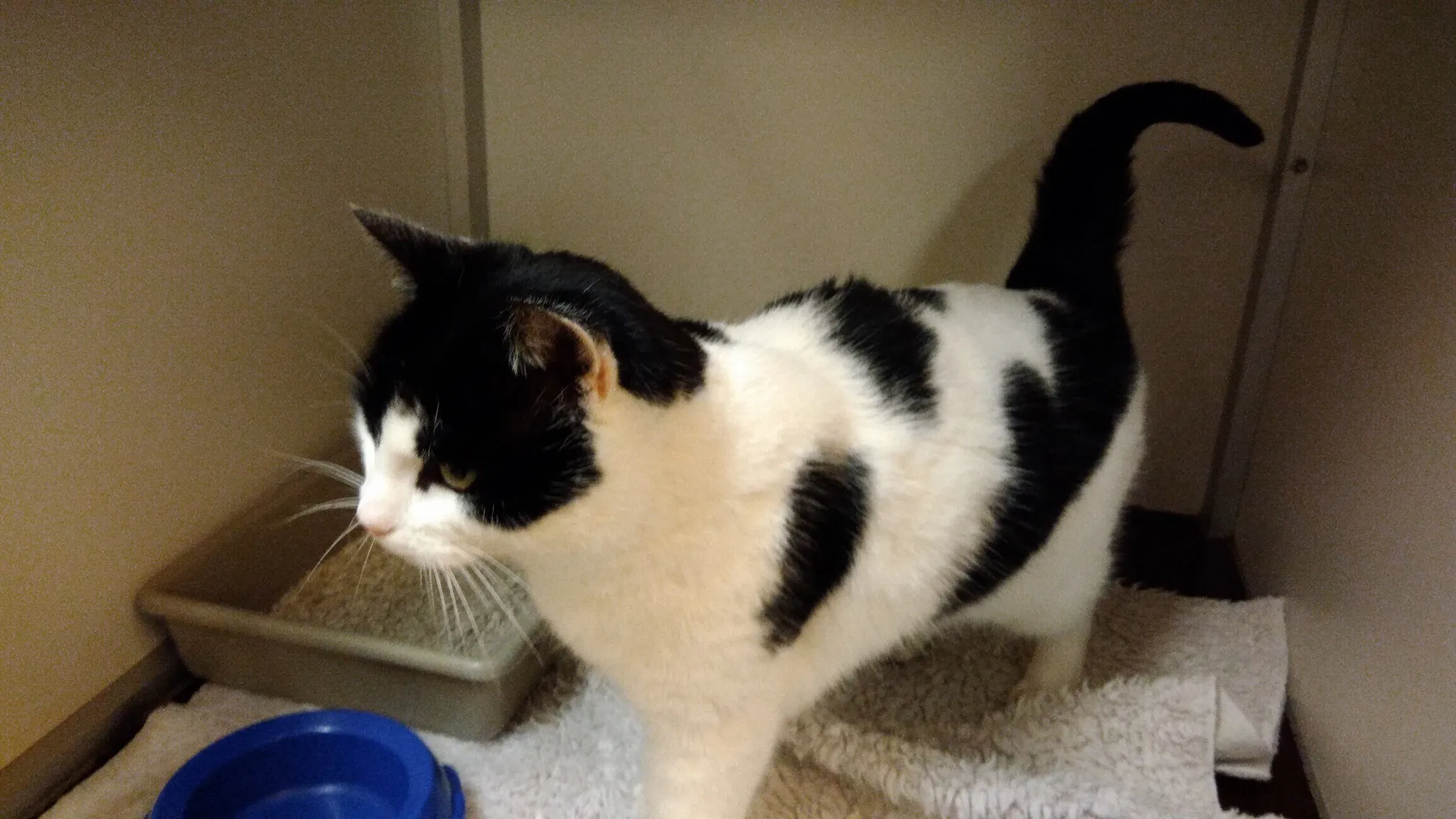 24799658 1322636654508565 559512802472262606 o