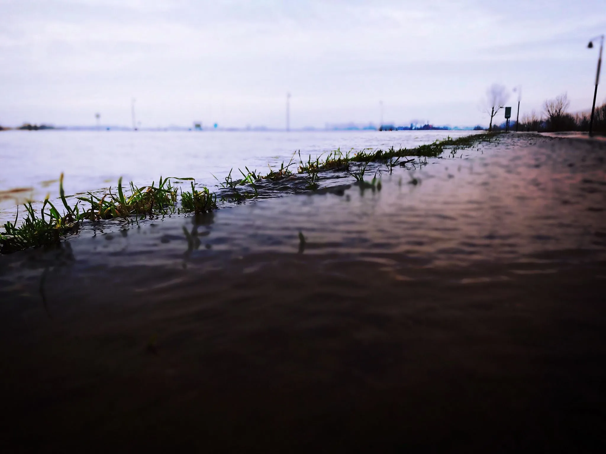 26732915 10155349053858230 574794912 o