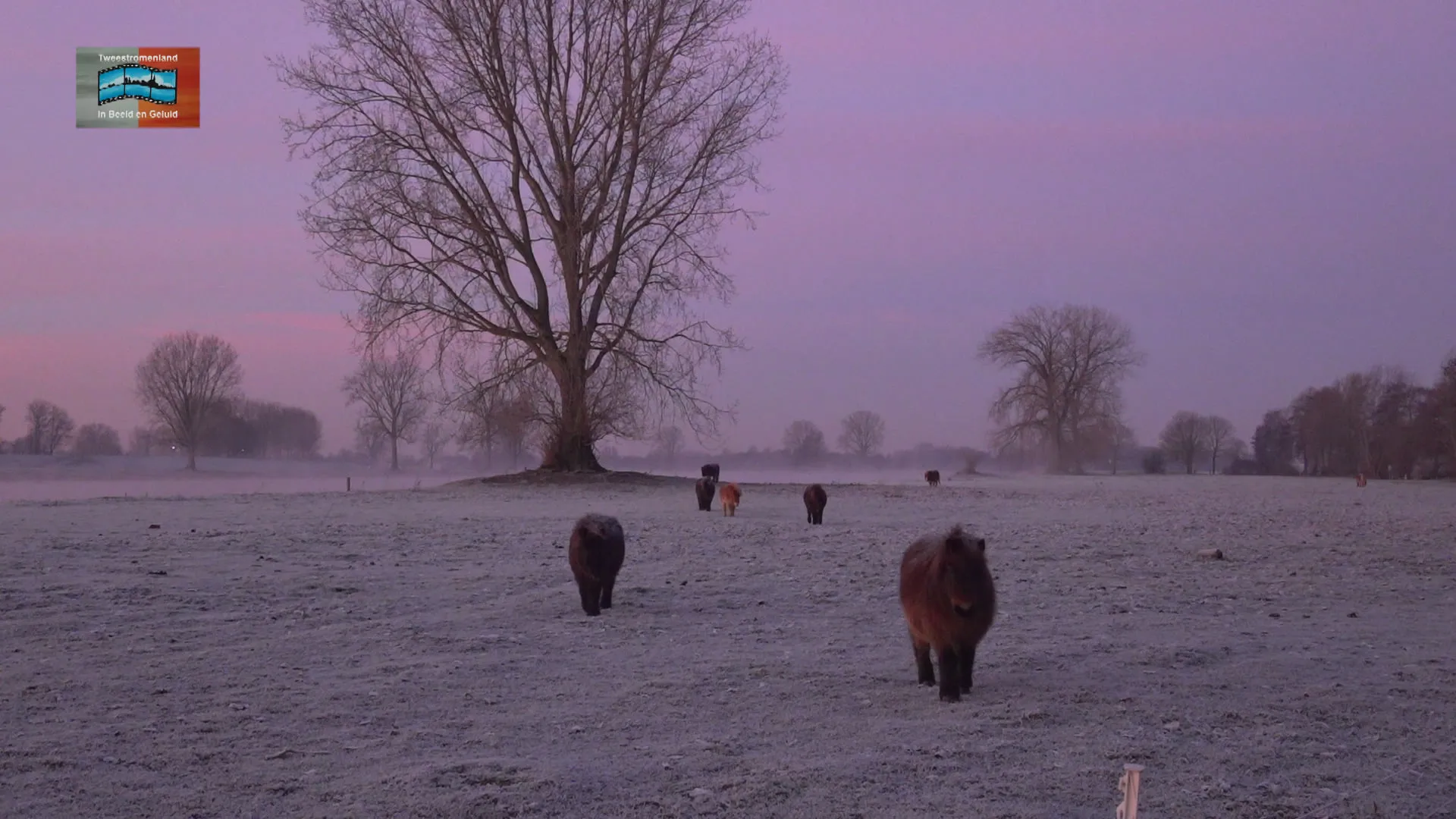 270360937 487421636335498 2412016442342869950 n