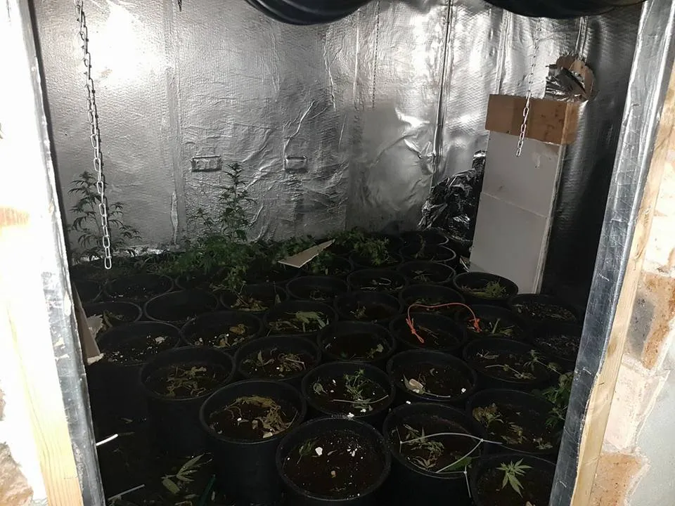 27336247 1772510369446705 4794397333950304624 n