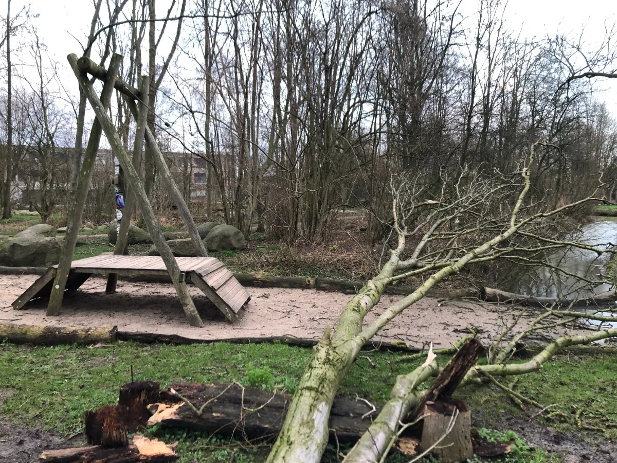 275115444 332703155581422 2195194333503249545 n