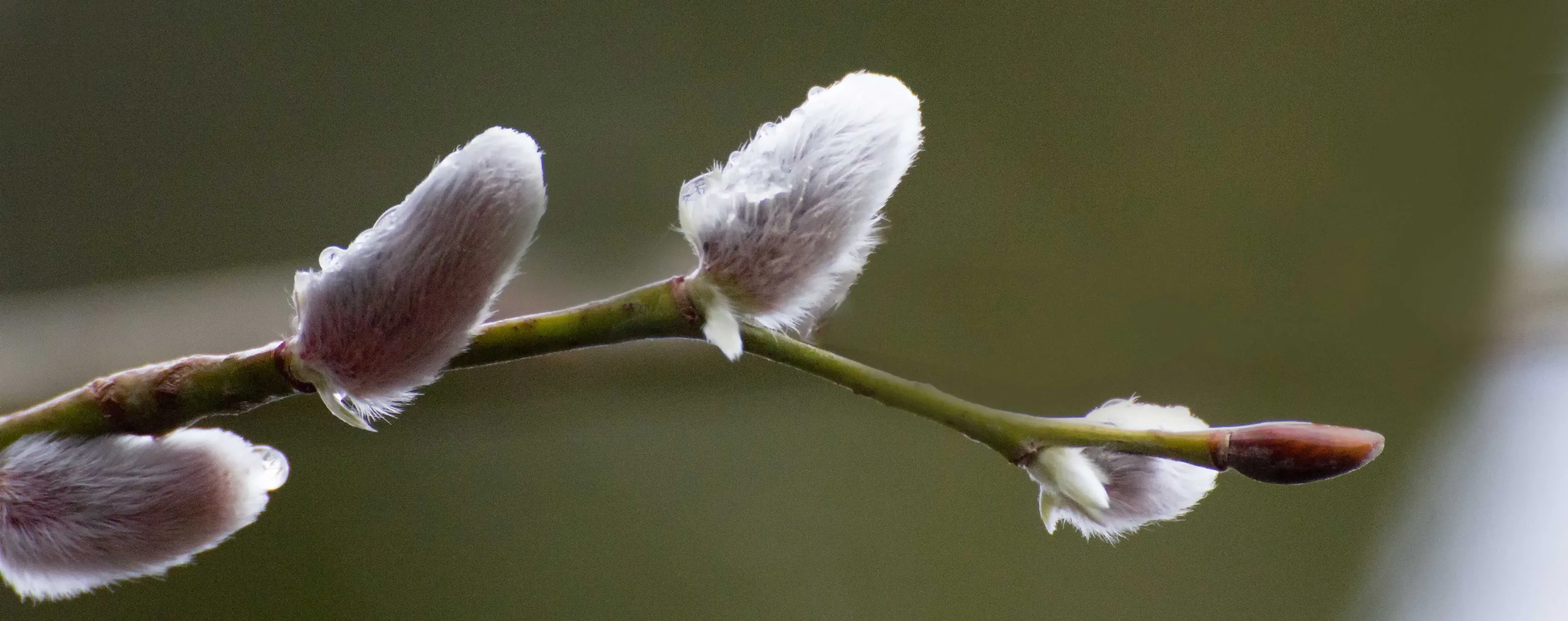 28827677 1991457301181706 2681065075805180498 o