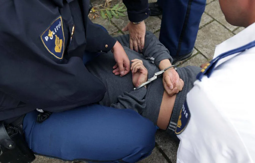 31224826 1866917616672646 6305943345596203008 o