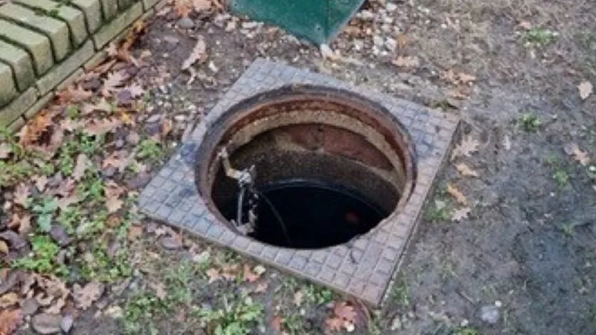 323054339 828724124869832 7025779872729381981 n e1672853028538