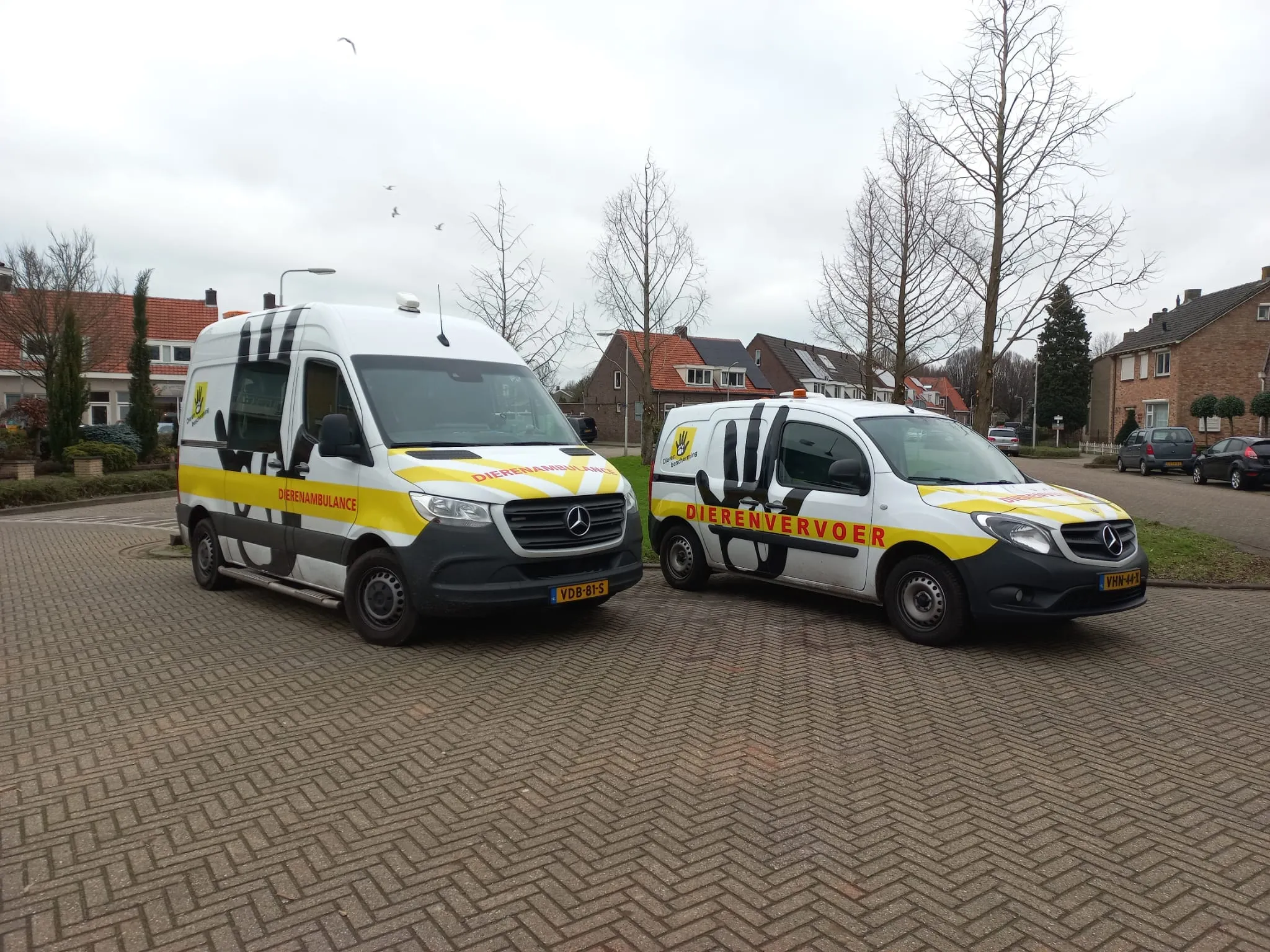 325497165 1236633817262287 7047532998919595529 n