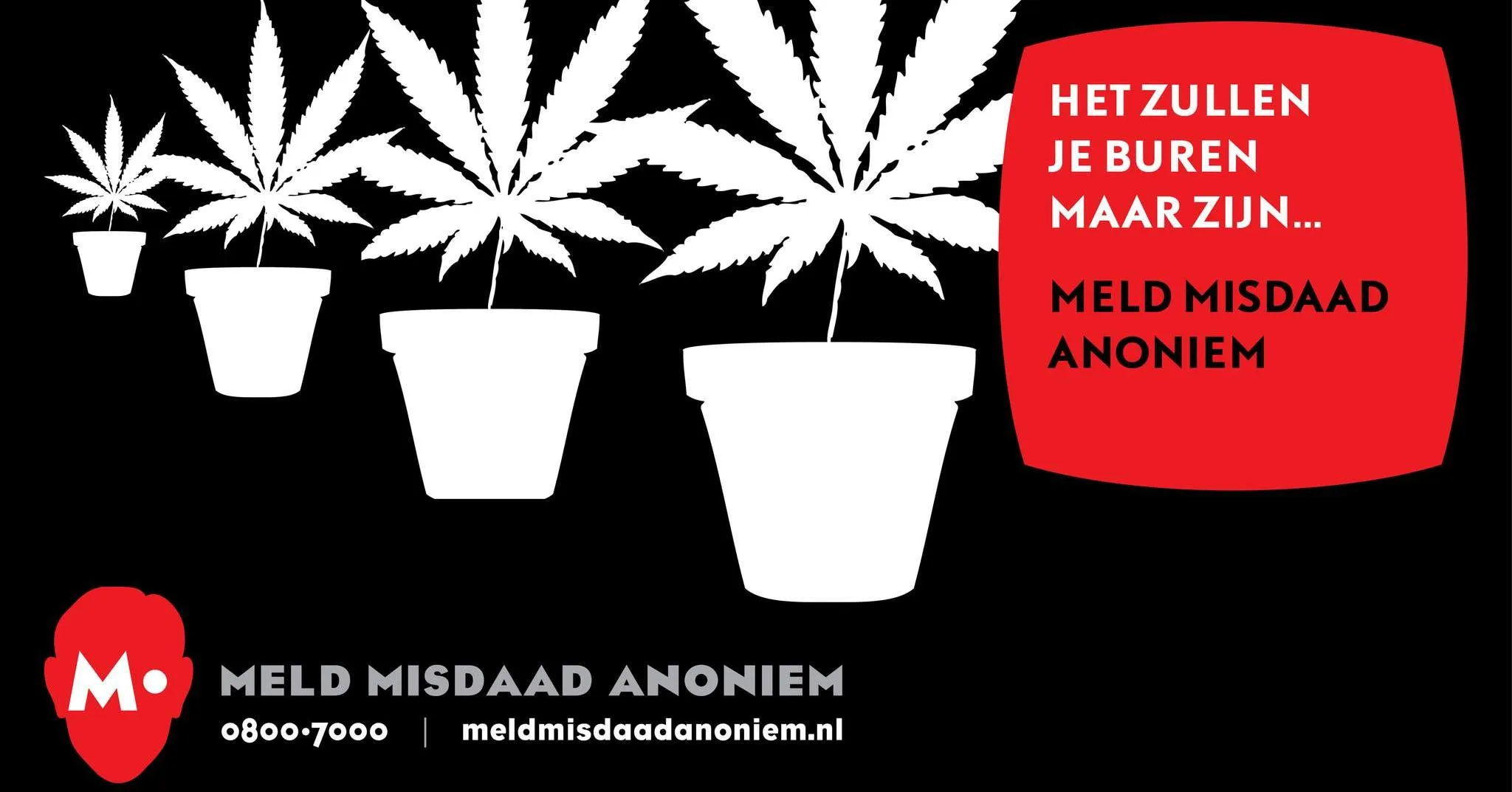 352382351 639647711526645 2353846812271487387 n