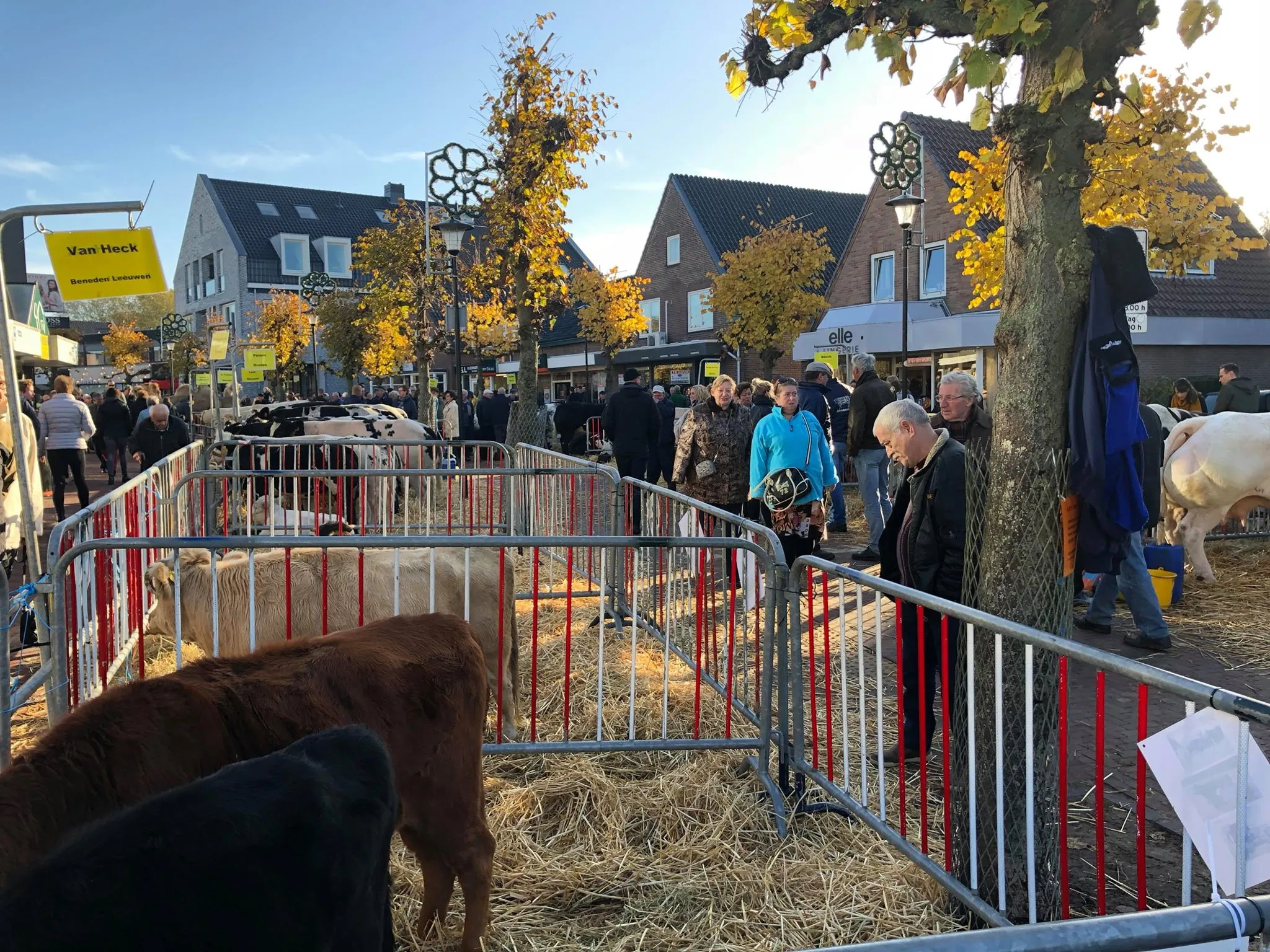 45678085 2338653076177365 8912193805059358720 n