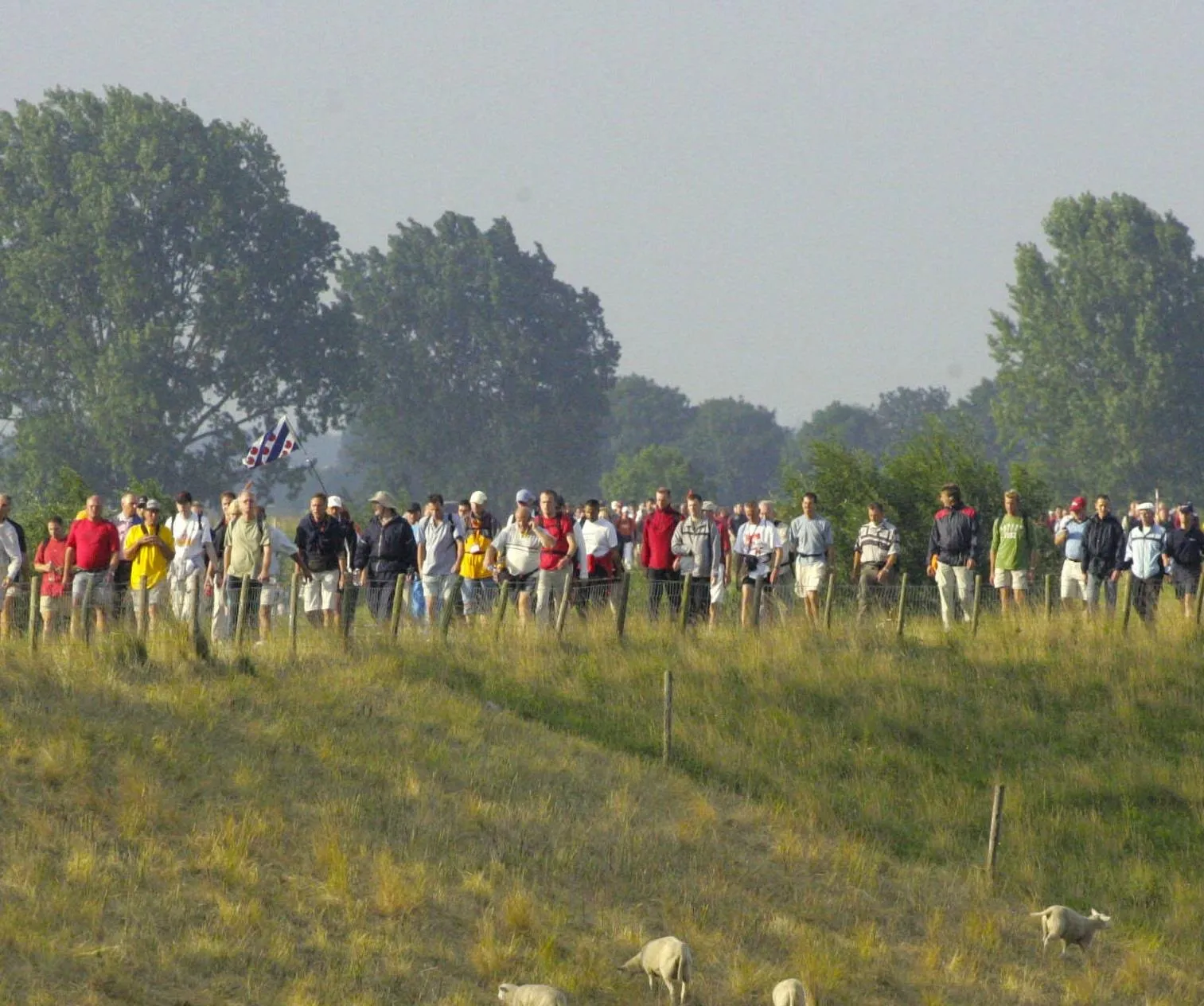 55959605 2222775781113442 9004079364727373824 o