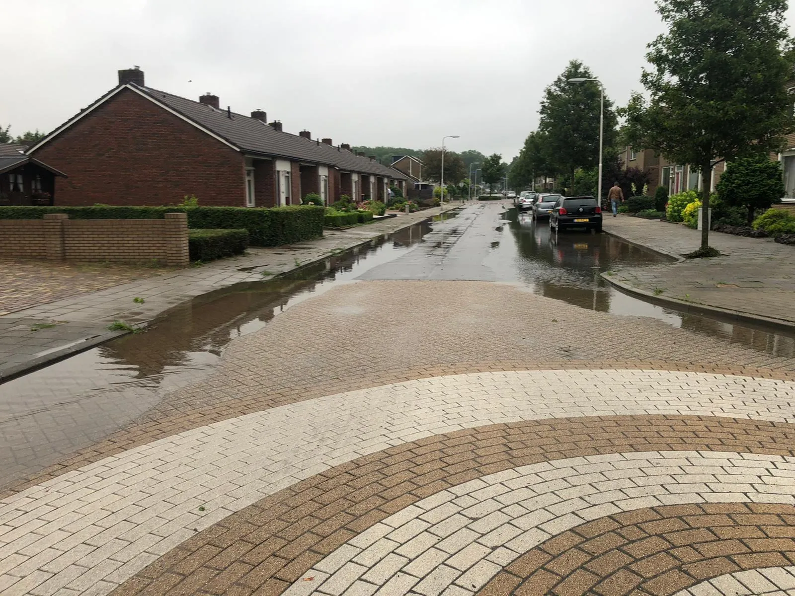 8cf4f8dd 9954 4178 be9e 76660a0bbdd2