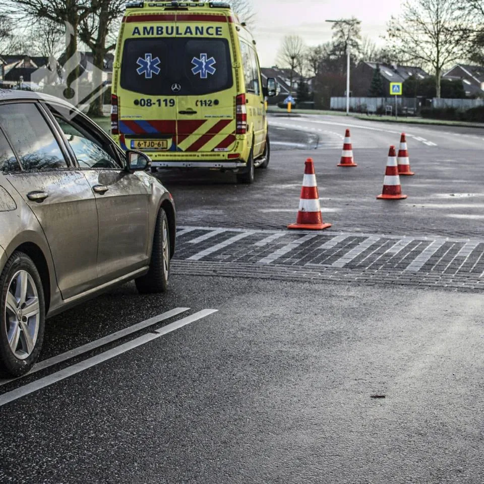 aanrijding koekoek druten