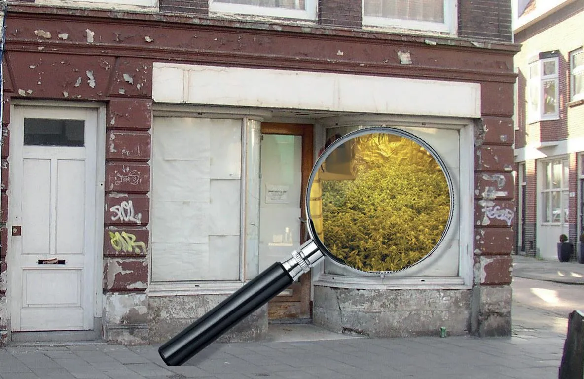 afbeelding ondermijning criminaliteit website