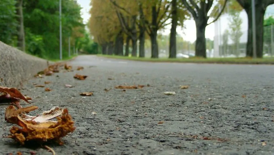 asfalt herfst 715x405 915x518 1