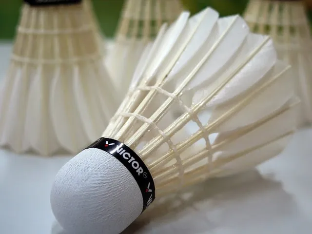 badminton 659910 640 cc0 public domain moerscht pixabay