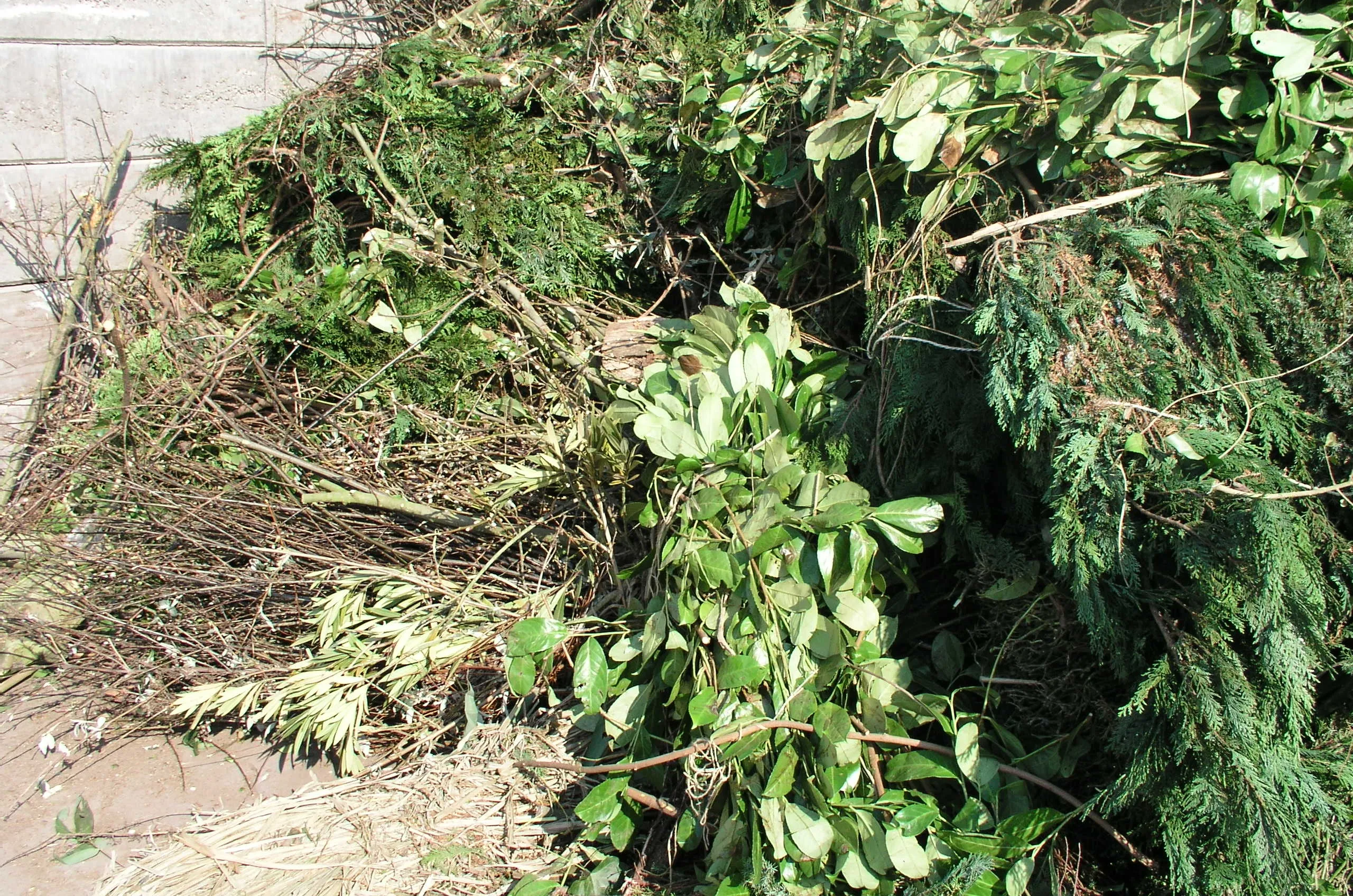 beeld door dar snoeiafval