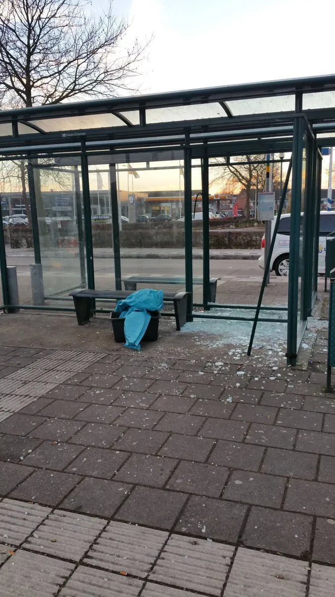 bushokje druten vernield