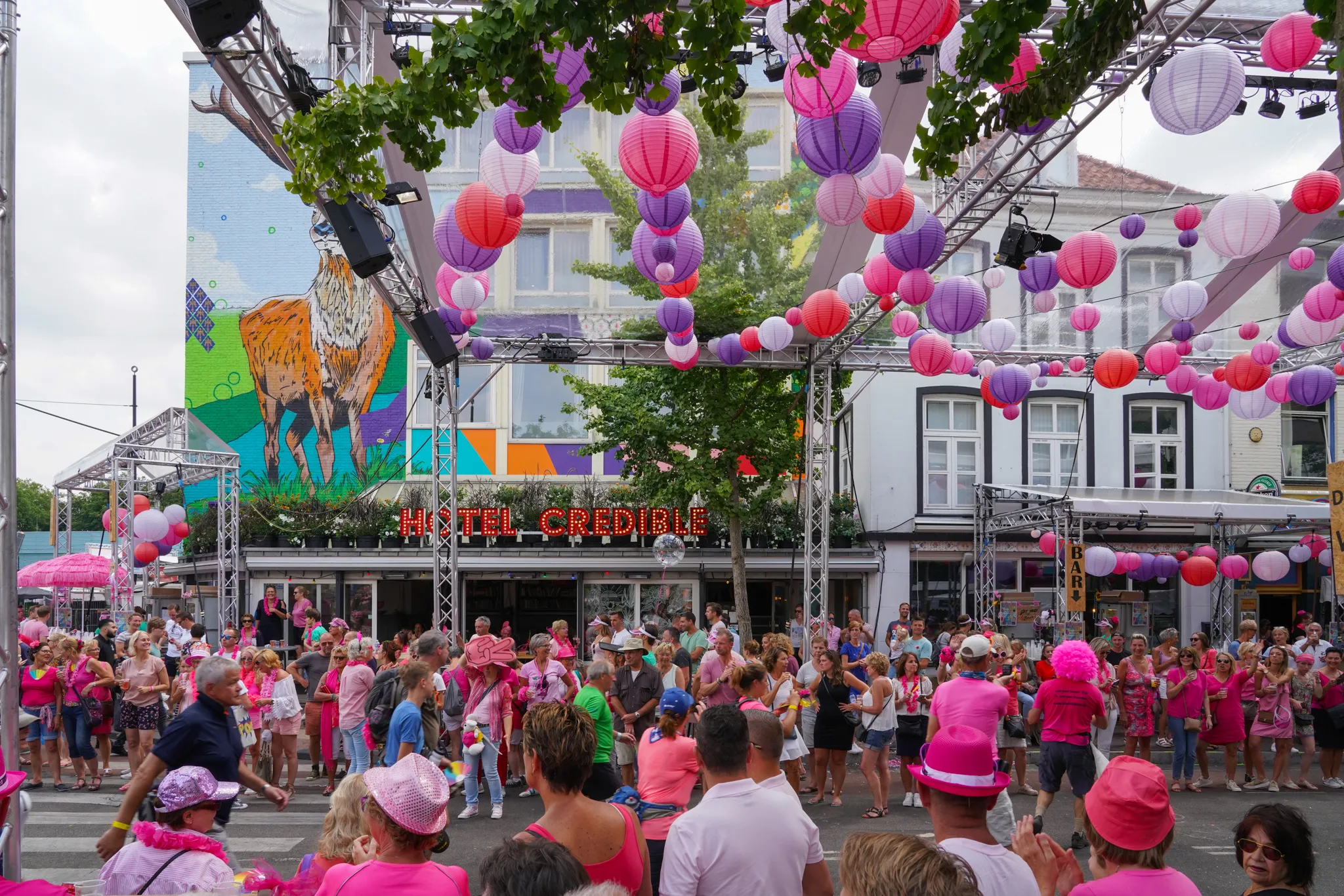 credible roze woensdag vierdaagsefeesten jan willem de venster