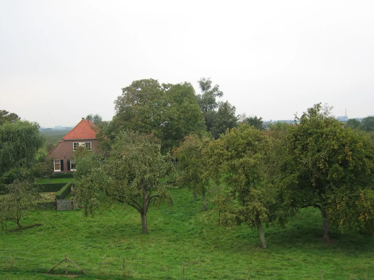 doe mee aan de actie houd de bongerd hoog in beuningen druten heumen west maas en waal en wijchen