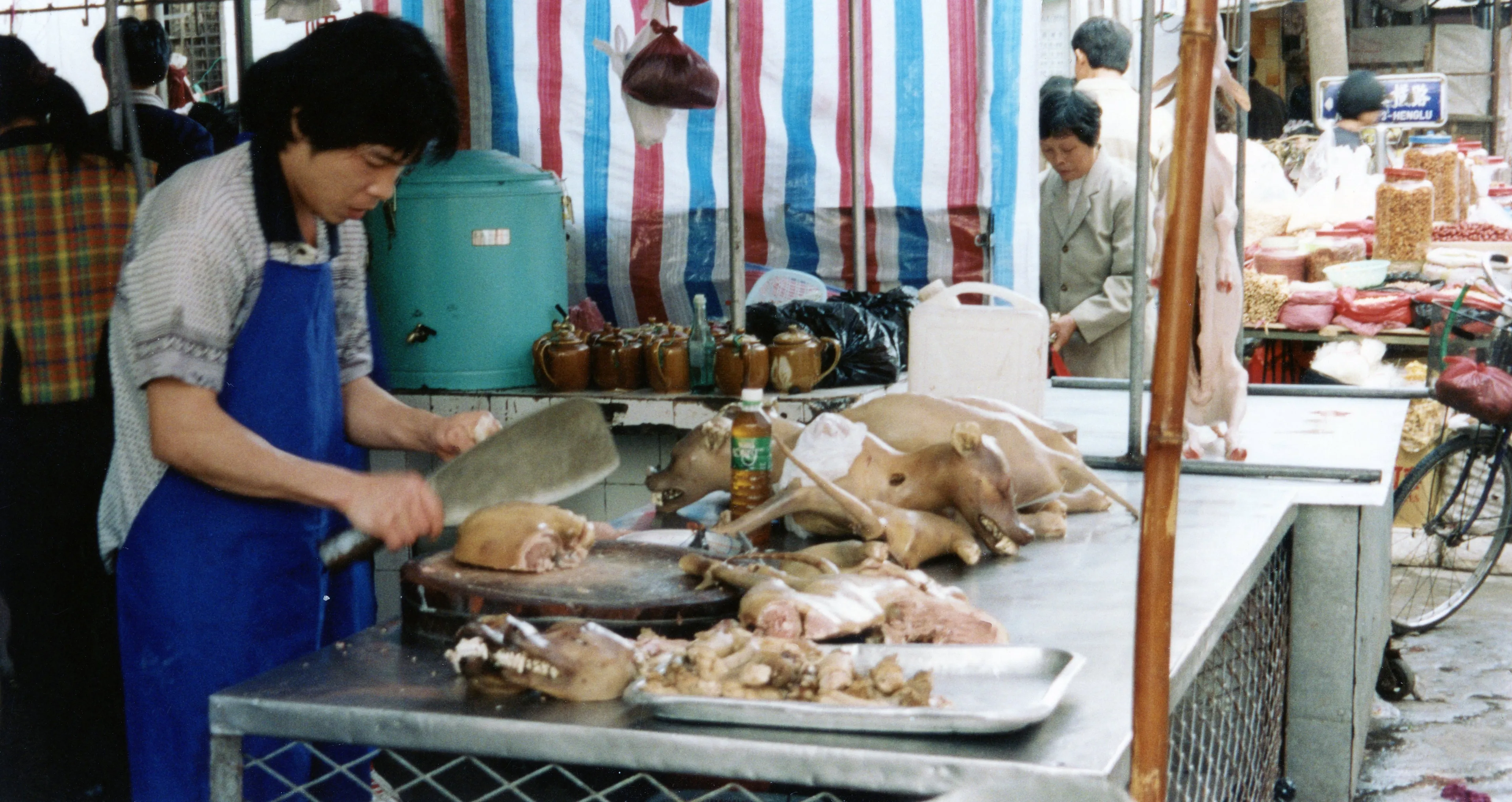 dogs being butchered in guangdong china 1999 cc by sa 30