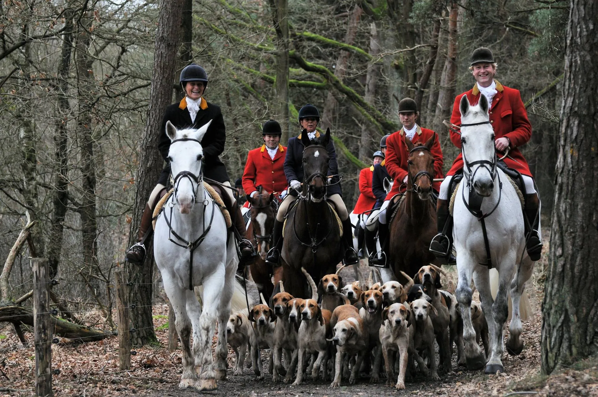 engelse slipjachtdemonstratie