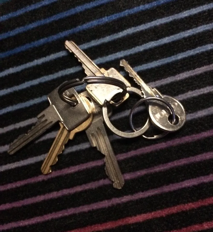 gevonden sleutels lijn85