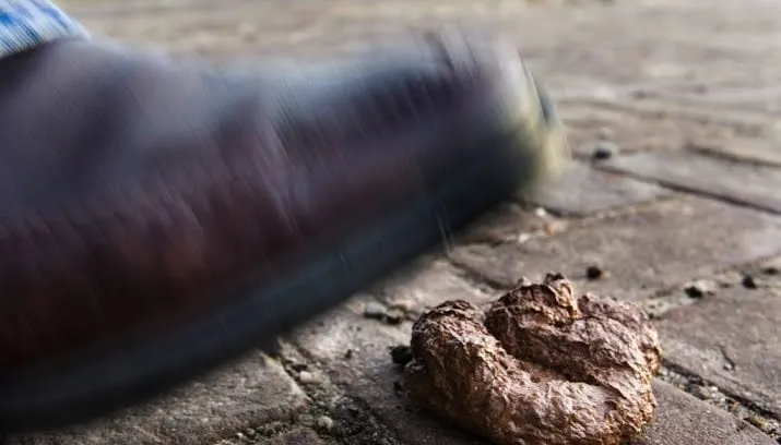 hardrijden en hondenpoep grootste ergernissen 715x408