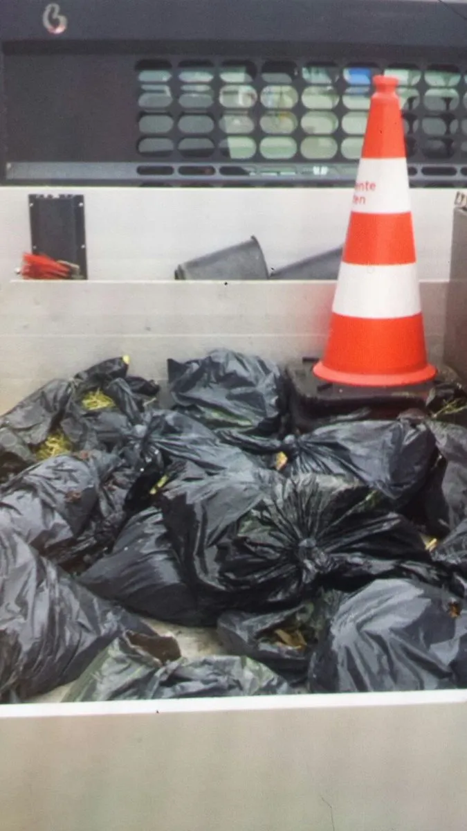 hennepafval uit de sloot gevist