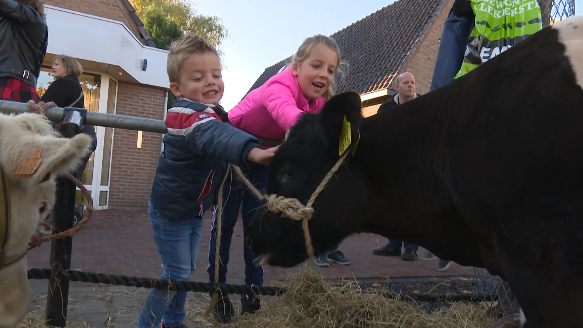 kinderen koe leste mert