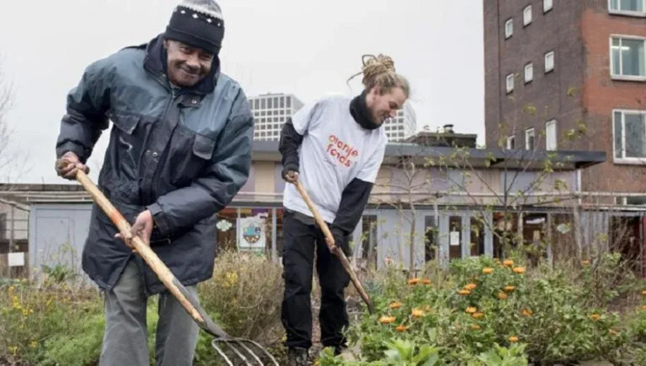 nldoet2020 9737 915x518 1