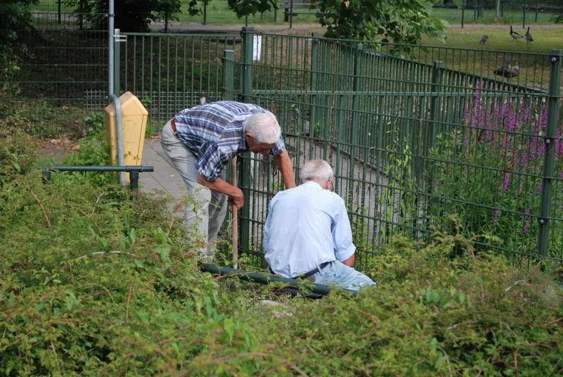 onderhoud hertenkamp druten