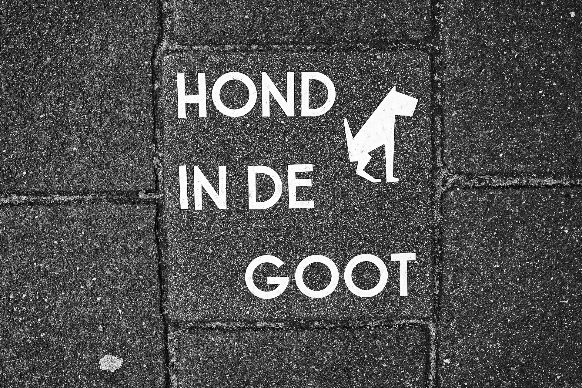 pavement 3104959 1920