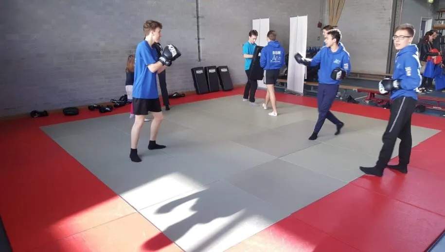 photo 2019 02 16 15 47 50 915x518